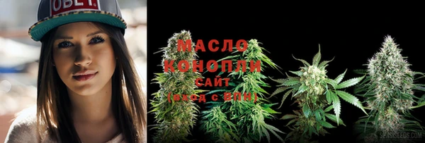 индика Нея