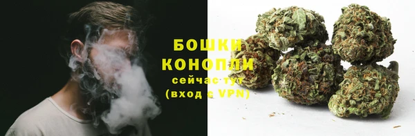 ГАЛЛЮЦИНОГЕННЫЕ ГРИБЫ Нефтегорск