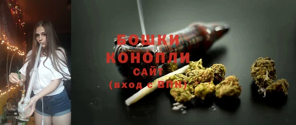 индика Нея