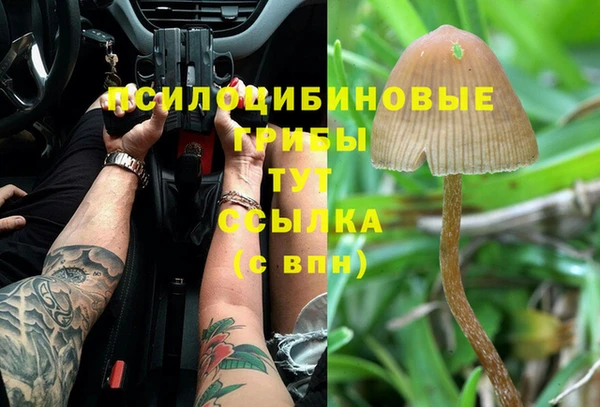PSILOCYBIN Волгодонск