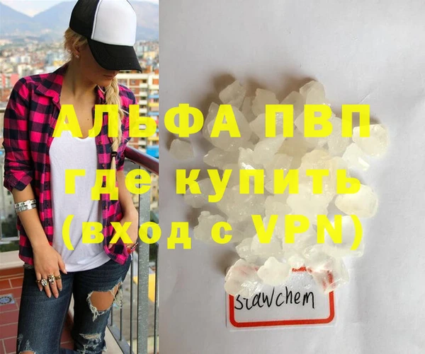 индика Нея