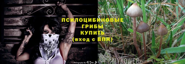 индика Нея