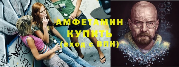 индика Нея