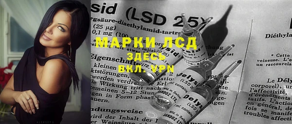 индика Нея