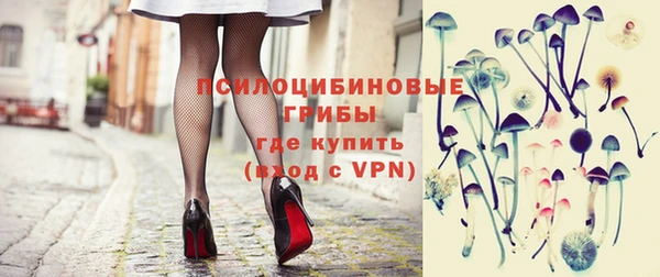 индика Нея