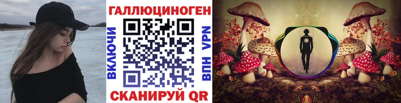 где можно купить   Прокопьевск  Галлюциногенные грибы Magic Shrooms 